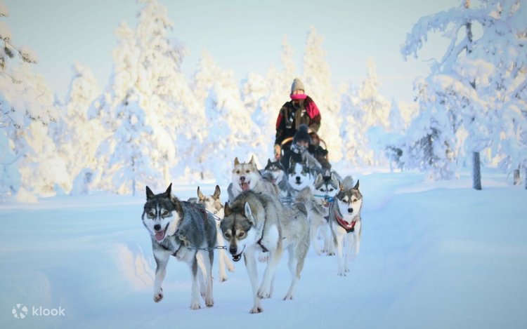 Metro yaqinida jinsiy aloqa