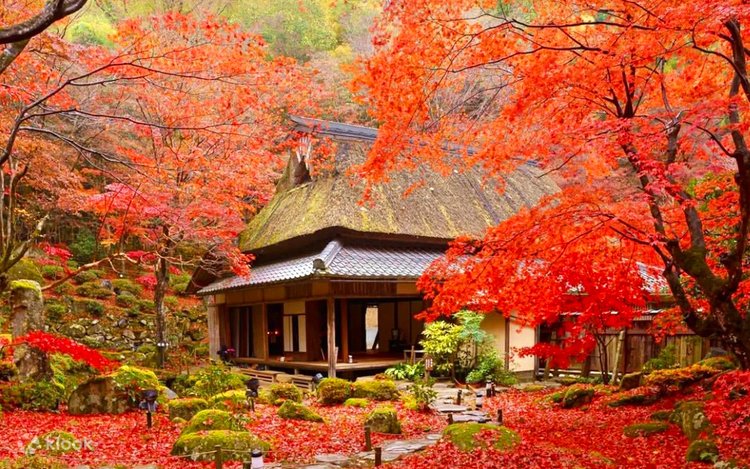 秋景3 Hasui Kawase, Autumn in Oirase, Shin-hanga Landscape