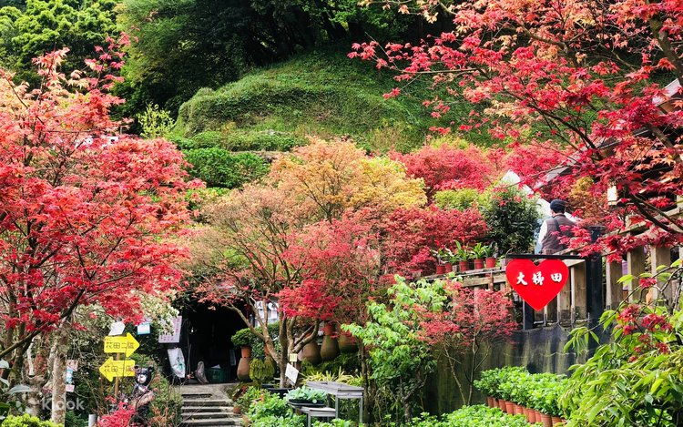台北大棚田花生態農場入場券 - Klook