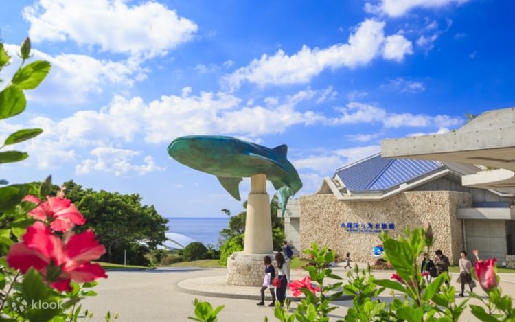 沖縄美ら海水族館 チケット - Klook