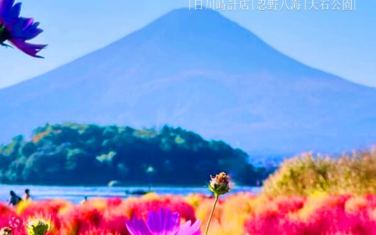 Instagram-Worthy Mt. Fuji & Kawaguchiko Four Seasons Flower Tour