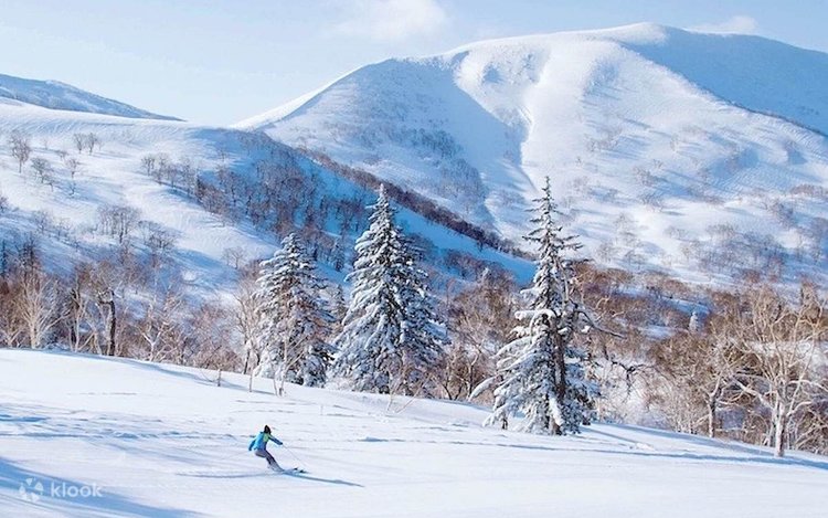 北海道 札幌発 キロロスキー場 リフト券（6時間）＆往復シャトルバス