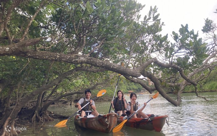 Okinawa Mangrove Kayak Tour with Photo Gift - Klook