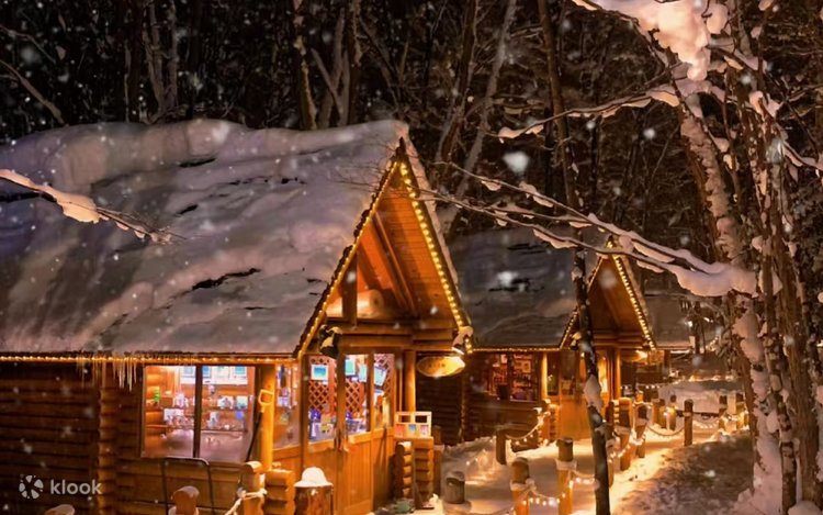 Sapporo Asahiyama Zoo & Shikisai-no-Oka Winter Tour (Optional