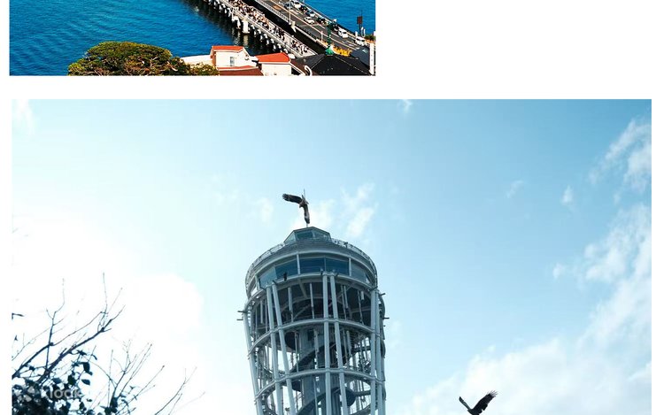 富士山箱根鎌倉江の島日帰りツアー：芦ノ湖大涌谷クラシックルート