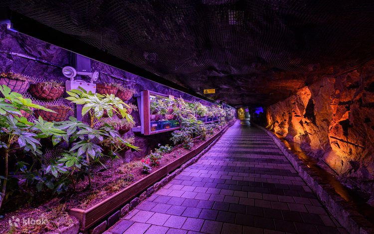 Ретро минет порно онлайн