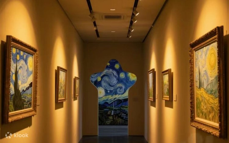 Admission Ticket for Hangzhou Van Gogh Starry Sky Art Museum - Klook
