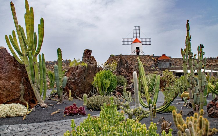 urethra cactus Stenocereus thurberi