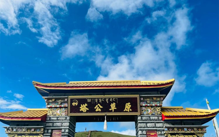 Yalangoch va semiz etuk ayollar