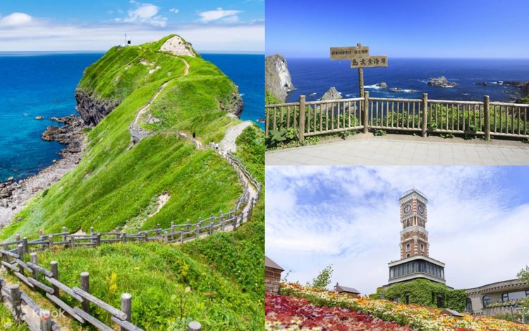 北海道の夏の風景 積丹半島と旬の海鮮丼と小樽ワイナリー 札幌発日帰り