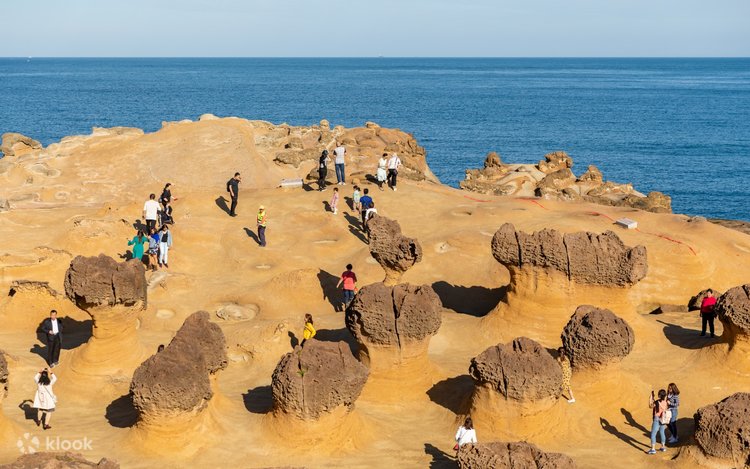Oshxonada etuk ayollar sikiladi