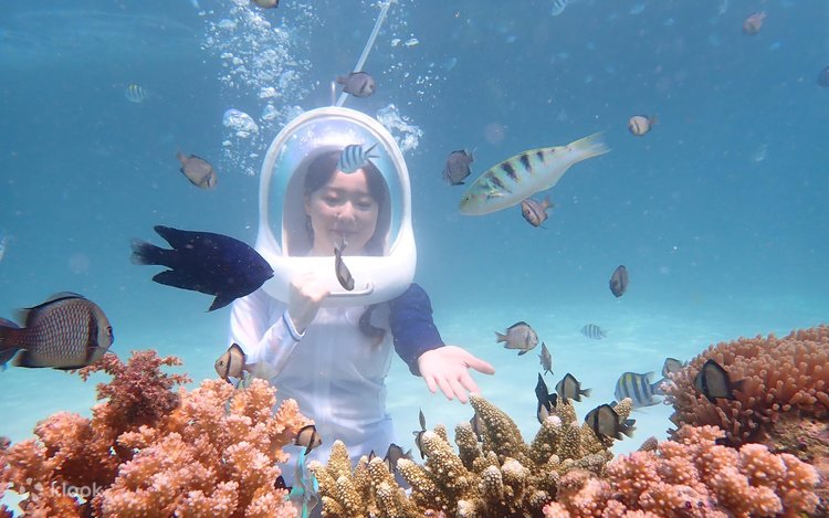 ボラカイ島】ヘルメットダイビング体験（海底散歩） | Klook