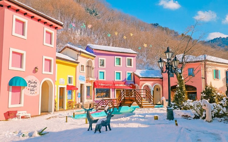 Nami Island / Petite France / Garden of Morning Calm / Rail Bike