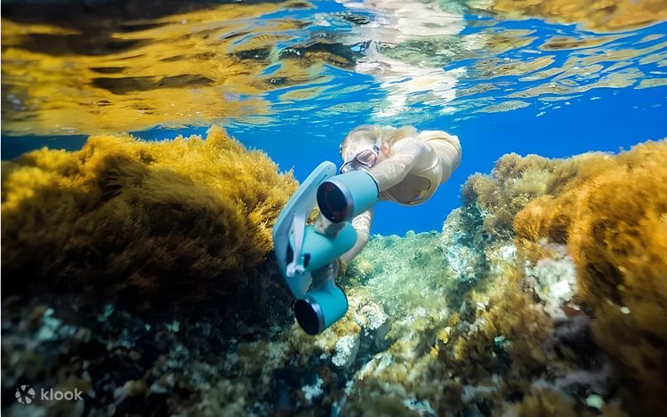 シアルガオ島：水中スクーター体験 | Klook