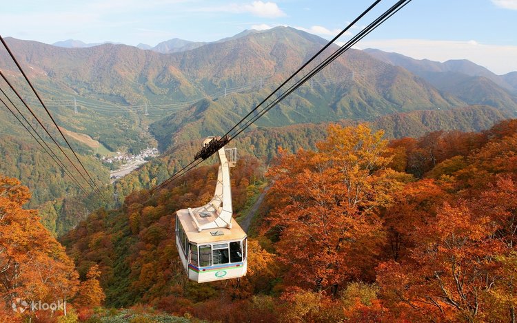 2179様感謝‼️秋‼️JAPAN螺鈿蒔絵『蜻蛉かげろう＆秋草＆木蓮』所有飯山氏5客 Katsukawa Shunkō - The Fifth Ichikawa Danjuro as a Samurai