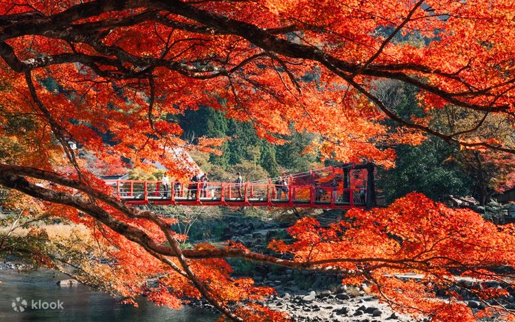 Must-See Autumn Foliage Spots in Nagoya, Japan | Tiger