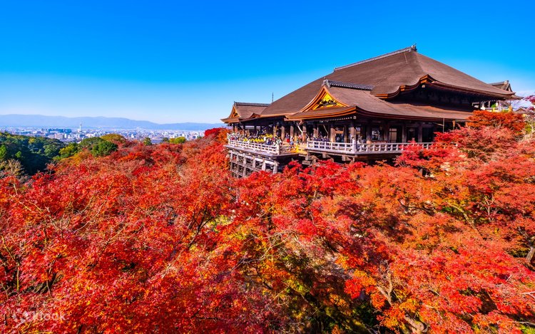 ondo　京東都　清水寺　伏見稲荷　ストール　京都　kyoto ondo 京東都 清水寺 伏見稲荷 ストール 京都 kyoto ondo様専用