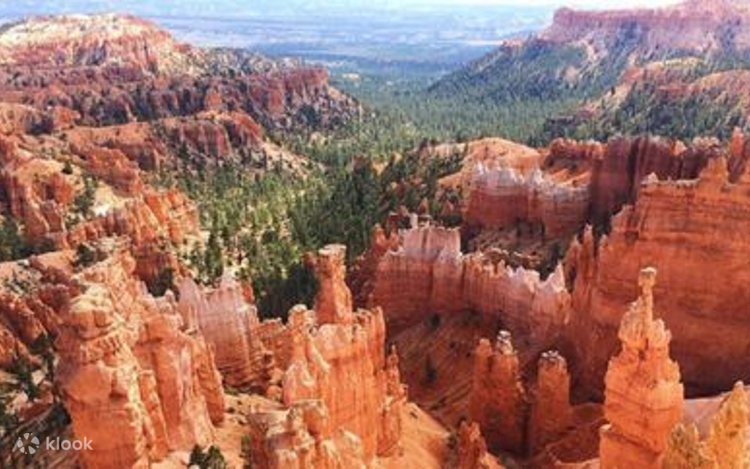 その他 Scenic National Parks: Zion &amp; Bryce [Blu-ray] Amazon.com: Scenic National Parks: Zion & Bryce [Blu-ray