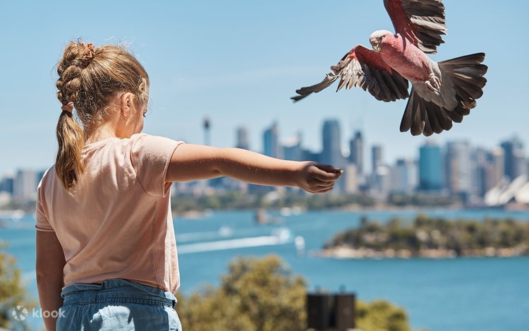 Vintage australia Banque de photographies et d'images à haute résolution - Alamy