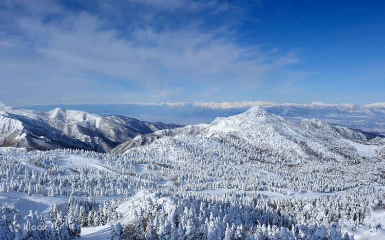 スキー RS スキー ATOMIC REDSTER G9 RS X16 183cm Atomic G9 RS スキー 183cm