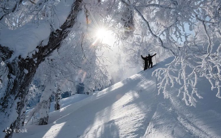 北海道札幌発キロロスキー場のリフト券と往復シャトルに参加 6 北海道札幌発キロロスキー場のリフト券と往復シャトルに参加 6