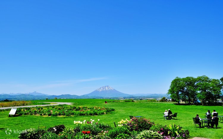 トコシエコウの花畑 即納！最大半額！】 トコシエコウの花畑様専用ページ 標本用品