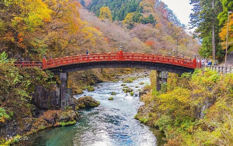 Toshogu Shrine, Iroha Mountain Trail, Akechidaira Ropeway