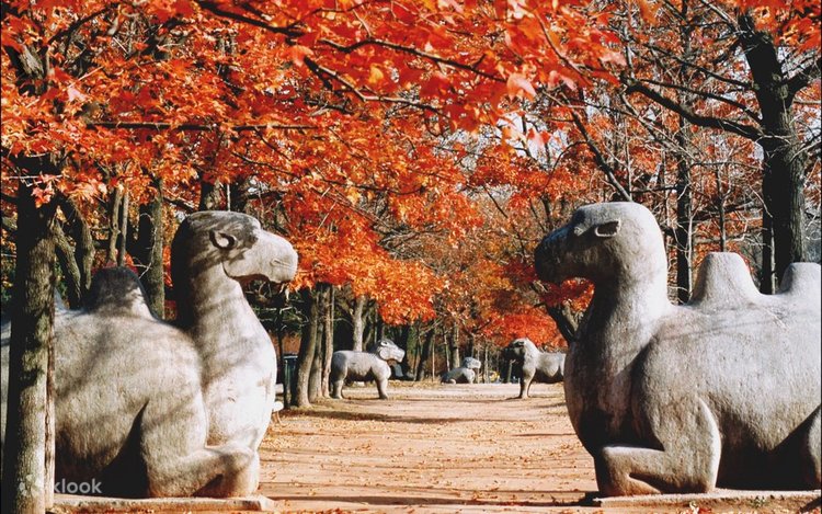 Katta xorozlar bilan qora tanlilar va rus qizlar seks video Cunnilingus dan orgazm uy qurilishi video