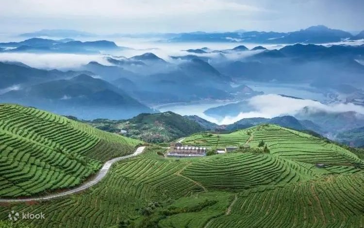 Wuyishan National Park Private Guided 3-Day Tour Jiuqu River