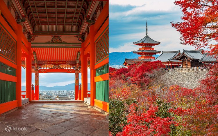 京都と宇治の双子の古都：清水寺と仁寧坂 | Klook