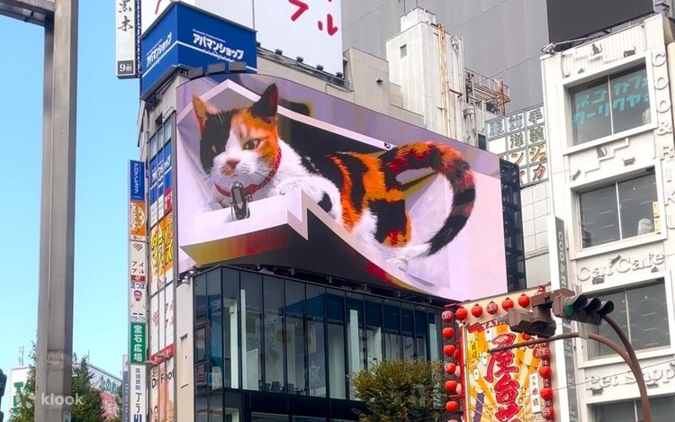Cherry Blossom & Gotokuji Cat Temple, Shinjuku Cat Cafe, 3D Cat