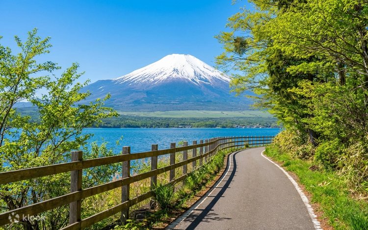 富士山＆箱根：箱根神社＆水上鳥居＆海賊船＆大涌谷＆山中湖＆忍野八海