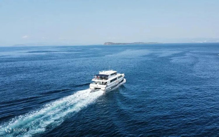 One-Day Western Shenzhen Tour (Coastal Boardwalk + Dameisha +