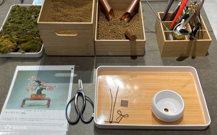 Authentic Bonsai Art Experience: Direct Access from Tokyo Station