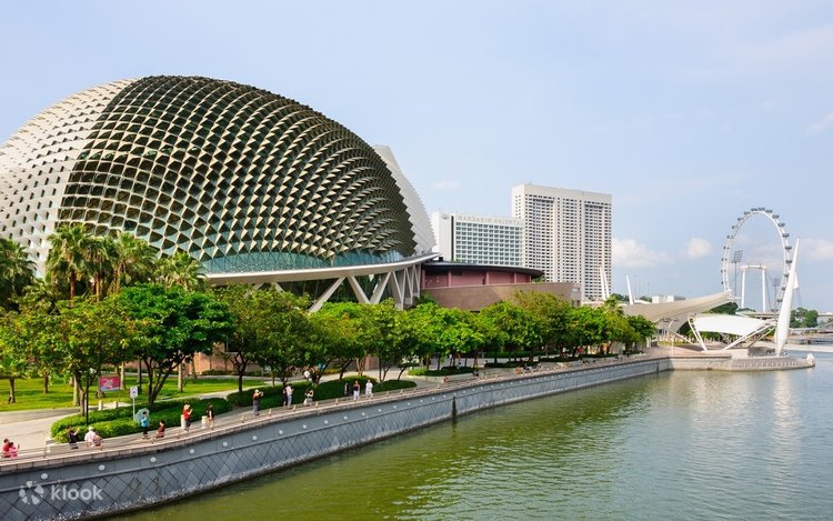 Marina B マリーナ・ベイ　シェル文字盤 ハート　 Cuorologio Marina B マリーナ・ベイ シェル文字盤 ハート Cuorologio