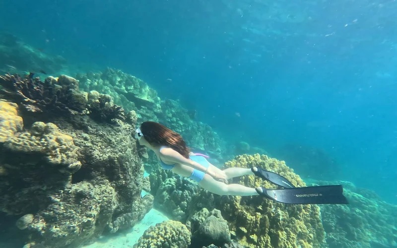Duration range for Koh Rok in Thailand from 6 hours to 450 hours Duration range for Koh Rok in Thailand from 6 hours to 450 hours