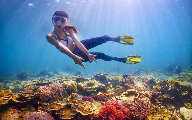 Featured tour with 16 reviews: Enjoy Nemo and Pattaya One Day Tour from Bangkok or Pattaya