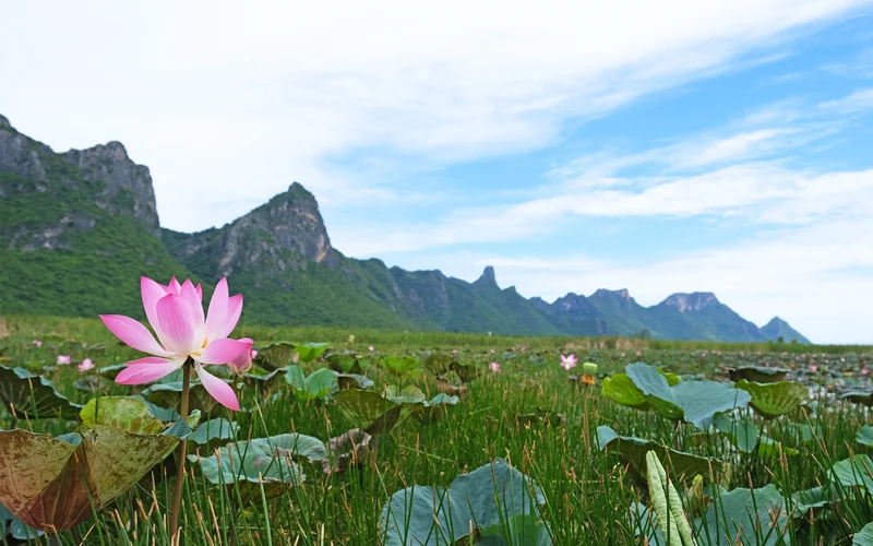 Hua Hin Khao Sam Roi Yot National Park Customized Day Tour