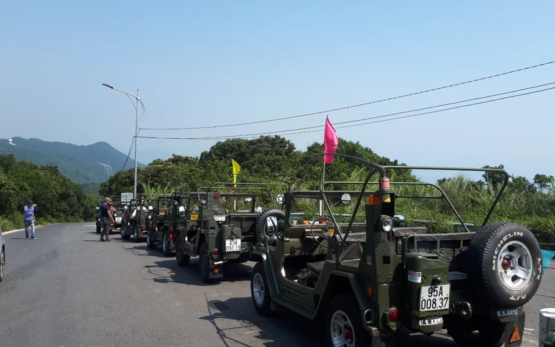 Son Tra Peninsula Private Jeep Tour from Da Nang