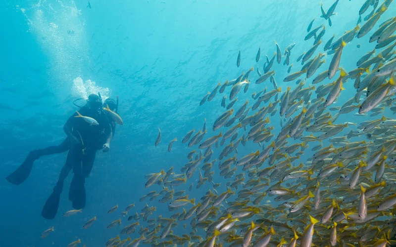 Koh Lipe Full Day Scuba Diving