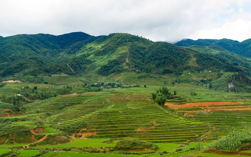 Sapa Ta Phin & Ma Tra Private Half-Day Trekking Tour