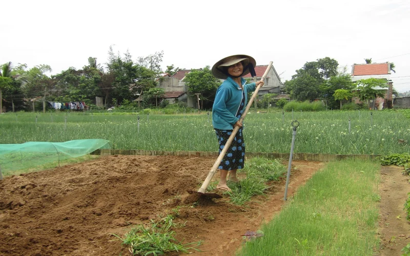 Hoi An Half-Day Private Countryside & Villages Tour