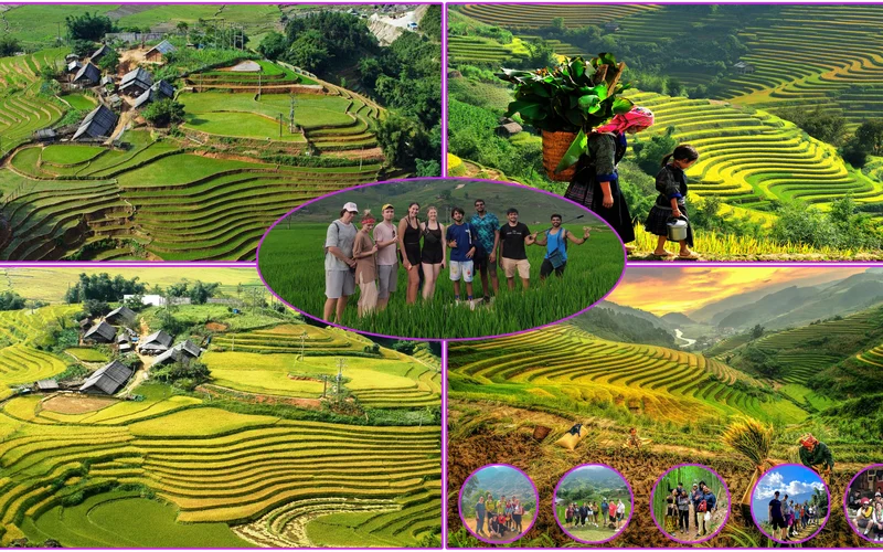 Featured tour with 14 reviews: 3D2N Sapa Trekking Tour from Ha Noi (Accommodation included)