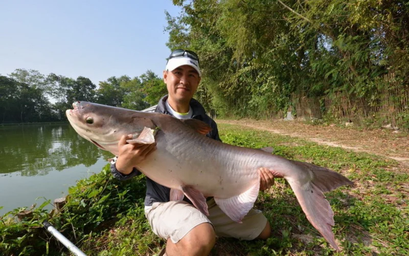 Best selling tour: Big Game Fishing Adventure Chiang Mai