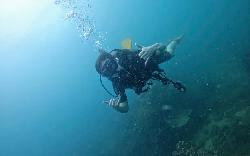 Best rated tour for Diving Tours in Vietnam with an average score of 5 Best rated tour for Diving Tours in Vietnam with an average score of 5