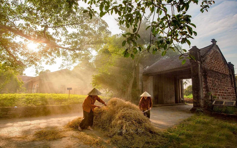 Featured tour with 15 reviews: Instagram Duong Lam Ancient Village Tour & Train Street Ha Noi