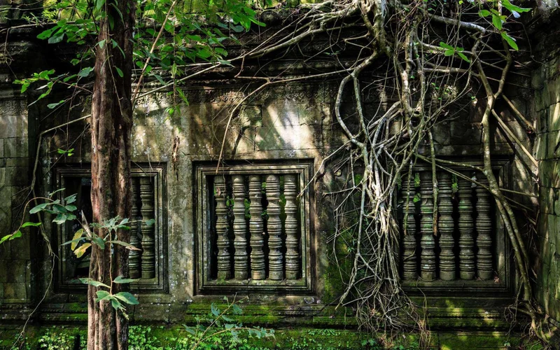 Siem Reap Beng Mealea Temple Private Day Tour by Tuk-Tuk