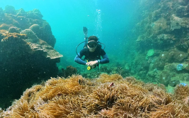 Phu Quoc Diving Tours