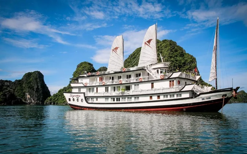 Featured tour with 34 reviews: Signature 2D1N Cruise: Ha Long Bay & Bai Tu Long Tour
