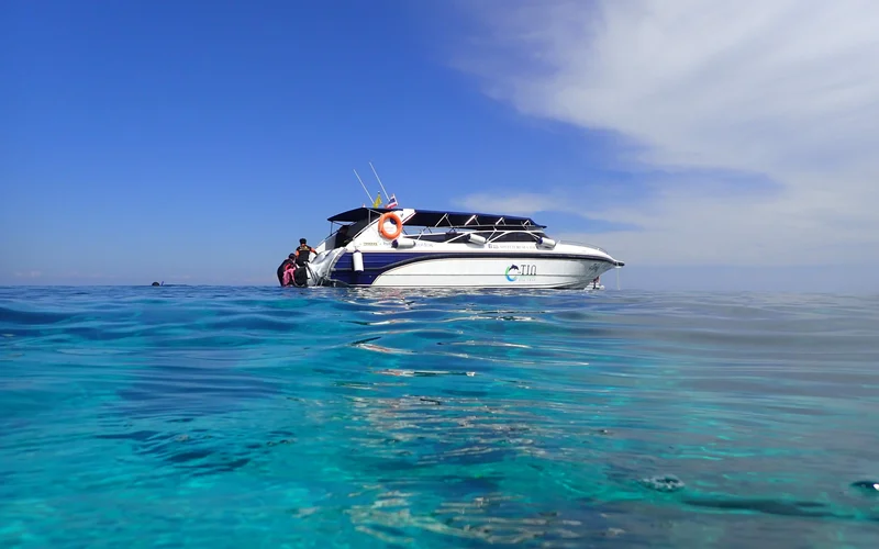 Private tour price range for Koh Rok in Thailand from 50500 THB and average 50500 THB Private tour price range for Koh Rok in Thailand from 50500 THB and average 50500 THB